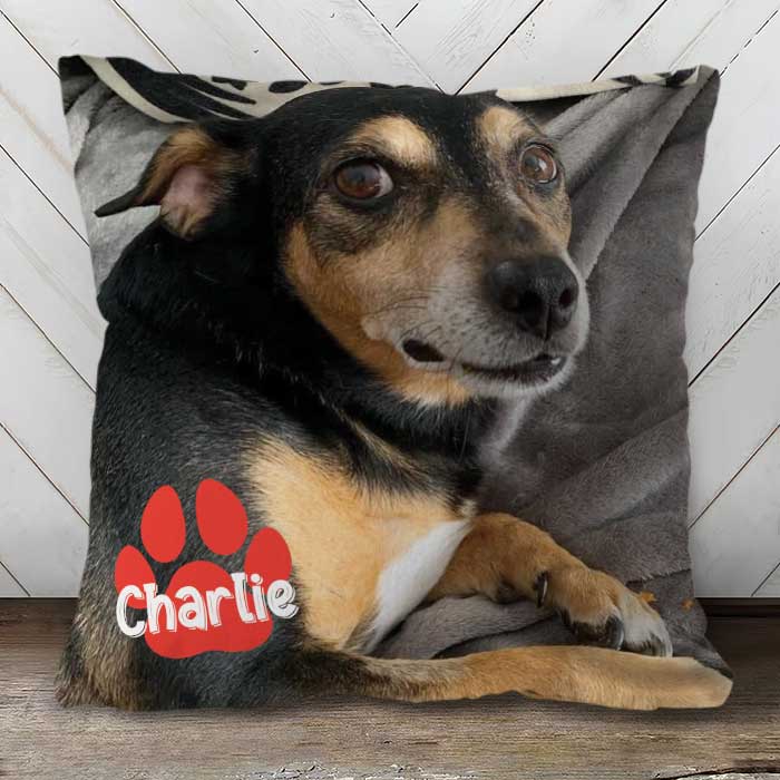 18x18 Pillow - Personalized Pet Pillow, Custom Pillows with Picture, Home Decoration, Unique Home Decor, Funny Pillows, Birthday Gifts, Decorative Pillows, Dog Pillow, Pet Memorial