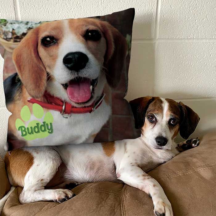 18x18 Pillow - Personalized Pet Pillow, Custom Pillows with Picture, Home Decoration, Unique Home Decor, Funny Pillows, Birthday Gifts, Decorative Pillows, Dog Pillow, Pet Memorial