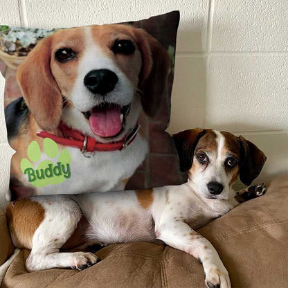 18x18 Pillow - Personalized Pet Pillow, Custom Pillows with Picture, Home Decoration, Unique Home Decor, Funny Pillows, Birthday Gifts, Decorative Pillows, Dog Pillow, Pet Memorial