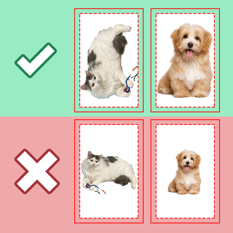 Custom Photo My Beloved Fur Baby - Dog & Cat Personalized Custom Shaped Pillow - Gift For Pet Owners, Pet Lovers