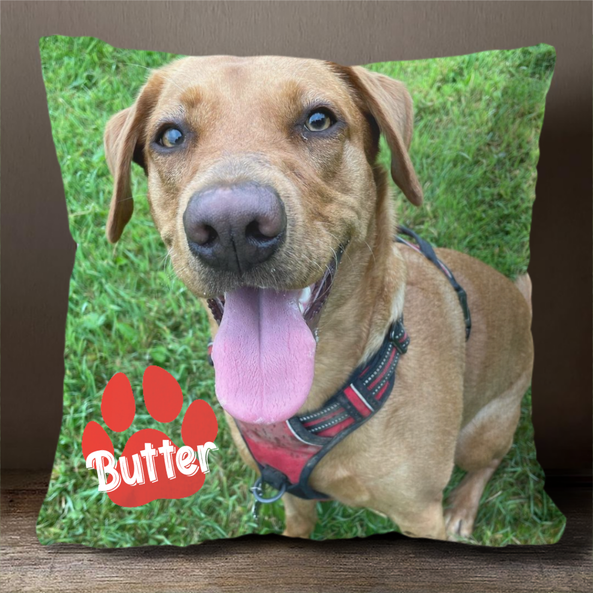 18x18 Pillow - Personalized Pet Pillow, Custom Pillows with Picture, Home Decoration, Unique Home Decor, Funny Pillows, Birthday Gifts, Decorative Pillows, Dog Pillow, Pet Memorial